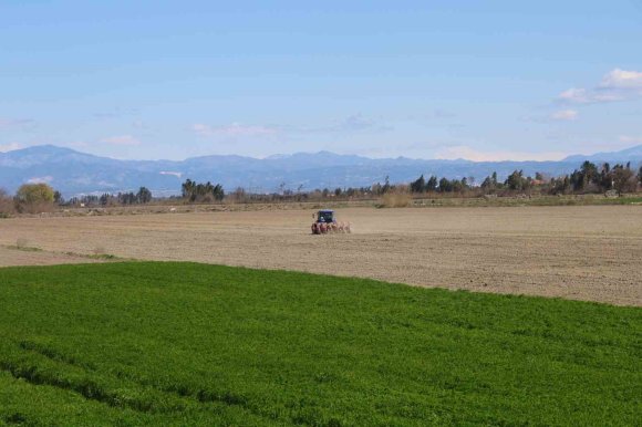 ÇUKUROVA’NIN BEREKETLİ TOPRAKLARI MISIR VE AYÇİÇEĞİ TOHUMLARI İLE BULUŞTU