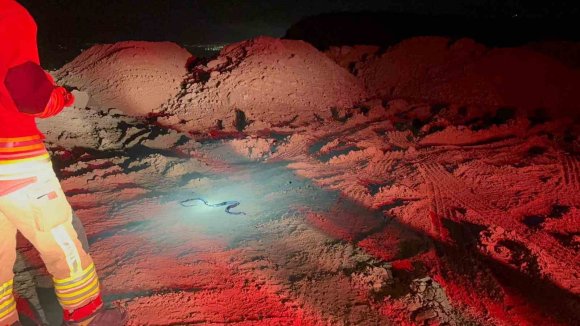 CAMİDE GÖRÜLEN YILAN YAKALANDI