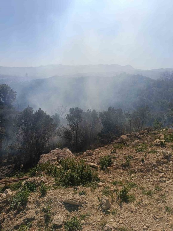 SAMANDAĞ’DA ORMANLIK ALANDA ÇIKAN YANGIN KISA SÜREDE KONTROL ALTINA ALINDI