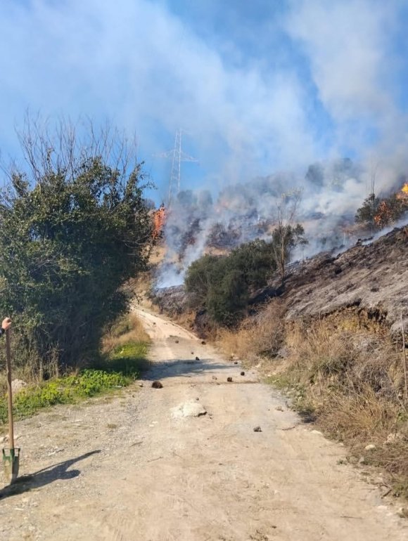 DEFNE’DE ÇIKAN BAHÇE YANGININDAN ALEVLER YÜKSELDİ