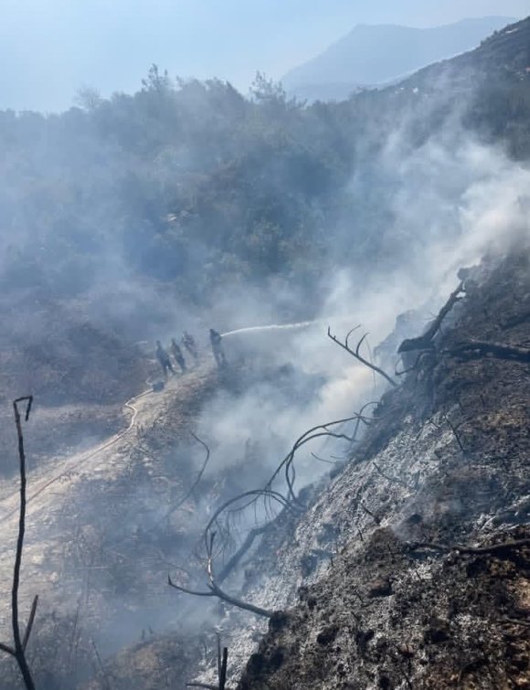 SAMANDAĞ’DA BAHÇEDE ÇIKAN YANGIN BÜYÜMEDEN SÖNDÜRÜLDÜ