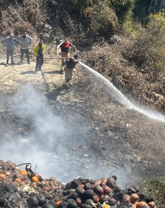 SAMANDAĞ’DA BAHÇEDE ÇIKAN YANGIN BÜYÜMEDEN SÖNDÜRÜLDÜ