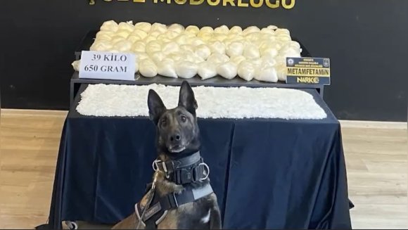 OCAK AYININ EN BAŞARILI NARKOTİK KÖPEĞİ "JARDİ" OLDU