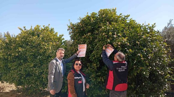 KOZAN’DA ARILARIN KORUNMASINA YÖNELİK ÇALIŞMA BAŞLATILDI