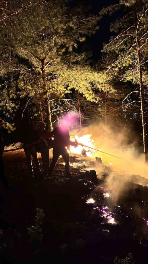 HATAY’DA ORMANLIK ALANDA ÇIKAN YANGIN BÜYÜMEDEN SÖNDÜRÜLDÜ
