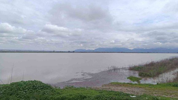 DOĞAN: "DESTEK MEKANİZMALARININ HAYATA GEÇİRİLMESİ GEREKİYOR"