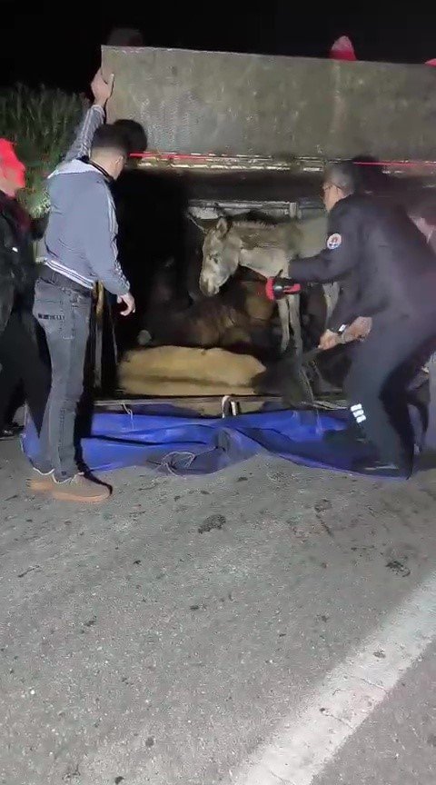 ADANA’DA KASASI EŞEK DOLU KAMYONET YOLA DEVRİLDİ