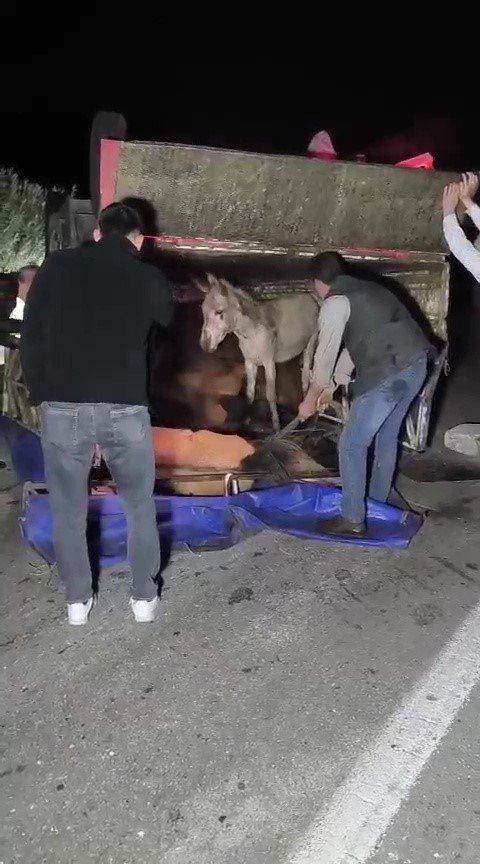 ADANA’DA KASASI EŞEK DOLU KAMYONET YOLA DEVRİLDİ