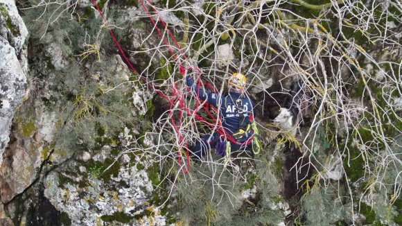 DAĞDA MAHSUR KALAN KEÇİ KURTARILDI