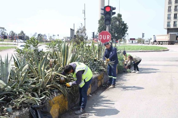 HATAY BÜYÜKŞEHİR BELEDİYESİ BİTKİDE DIŞA BAĞIMLILIĞI EN AZA İNDİRMEYİ HEDEFLİYOR