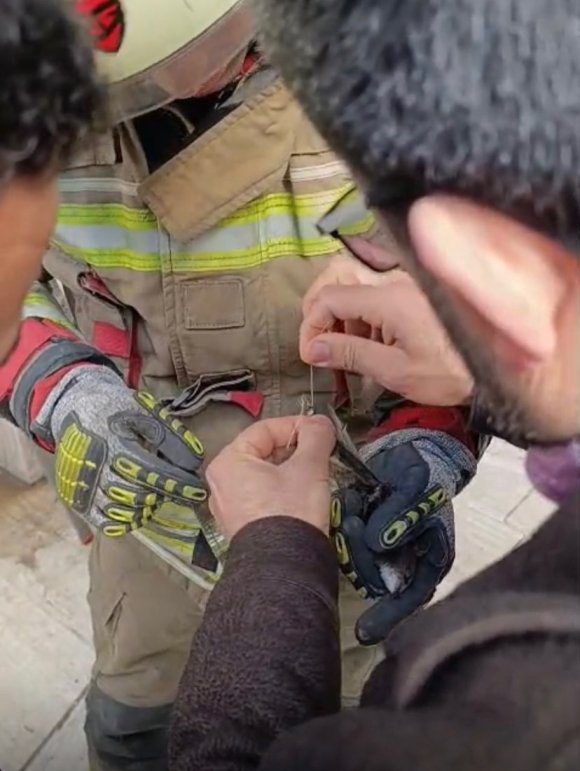 İSKENDERUN’DA İPE DOLANAN KUŞ KURTARILDI