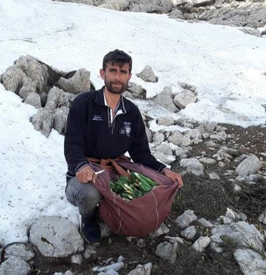 KAYALIKLARDA YETİŞİYOR, SOFRALARA LEZZET KATIYOR: ÇİRİŞ OTU