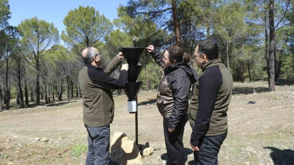 KAHRAMANMARAŞ’TA ORMAN ZARARLILARINA KARŞI MÜCADELE SAHADA İNCELENDİ