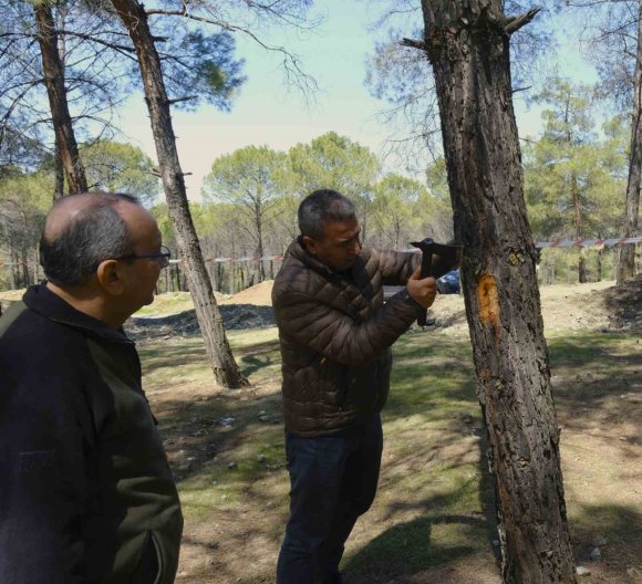 KAHRAMANMARAŞ’TA ORMAN ZARARLILARINA KARŞI MÜCADELE SAHADA İNCELENDİ