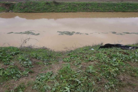GÜNLERDİR KAYIP OLARAK ARANAN ŞAHSIN CANSIZ BEDENİNİ DEREDE ÇOBAN BULDU