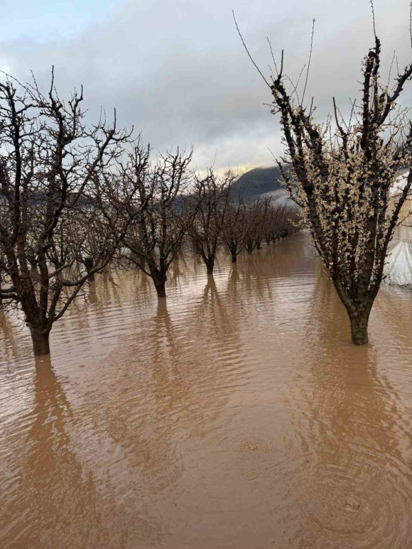 ELMALI’DA DERELER TAŞTI, TARIM ALANLARI SULAR ALTINDA KALDI