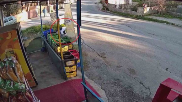 SÜRÜNÜN GEÇİŞİ ESNASINDA 3 METRELİK KUYUYA DÜŞEN KOYUNU ESNAF KURTARDI: O ANLAR KAMERADA