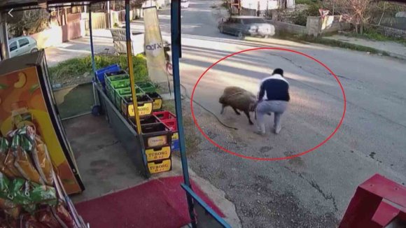 SÜRÜNÜN GEÇİŞİ ESNASINDA 3 METRELİK KUYUYA DÜŞEN KOYUNU ESNAF KURTARDI: O ANLAR KAMERADA