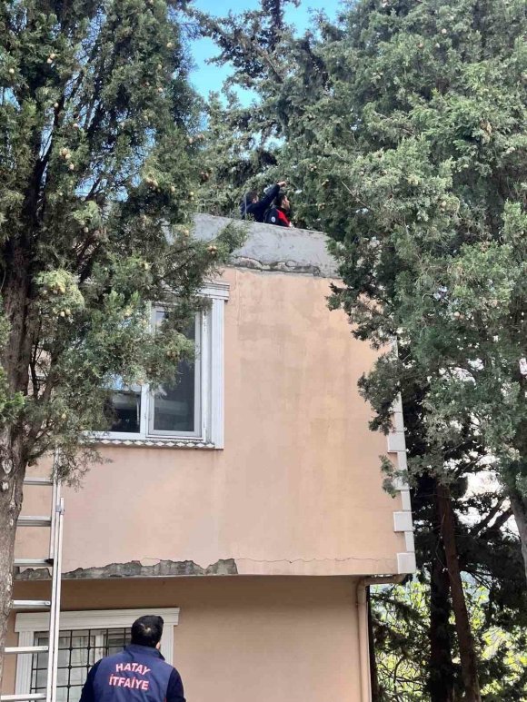 DEFNE’DE AĞAÇTA MAHSUR KALAN KEDİYİ İTFAİYE KURTARDI