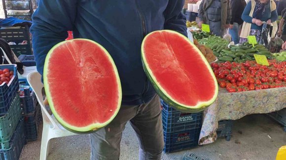KARPUZ PAZARA DİLİM DİLİM DÜŞTÜ: KİLOSU 50 TL