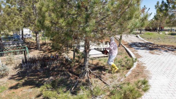 KAHRAMANMARAŞ’TA MEZARLIKLARDA YENİLEME BAŞLADI