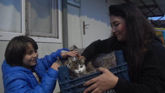 SU KANALINDA DOĞUM YAPAN KEDİ VE 3 YAVRUSUNUN YENİ YUVASI DEPREMZEDE AİLENİN KONTEYNERİ OLDU