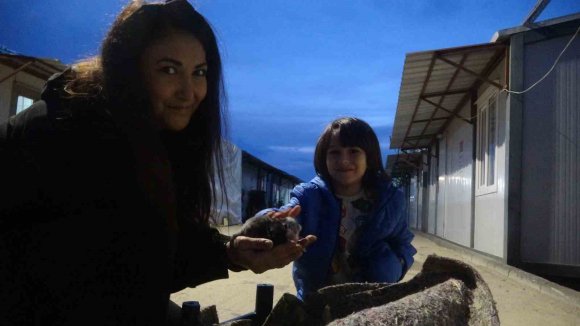 SU KANALINDA DOĞUM YAPAN KEDİ VE 3 YAVRUSUNUN YENİ YUVASI DEPREMZEDE AİLENİN KONTEYNERİ OLDU