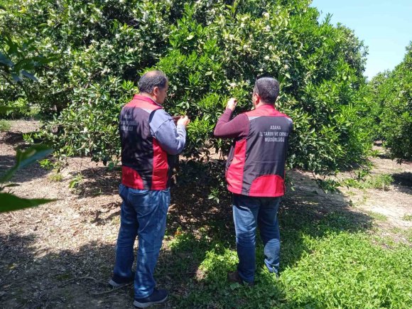 TARIMDA BİYOLOJİK MÜCADELE SEFERBERLİĞİ