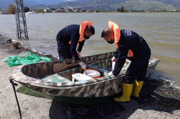 HATAY BÜYÜKŞEHİR BELEDİYESİ HAŞEREYLE MÜCADELE ÇALIŞMALARINA DEVAM EDİYOR