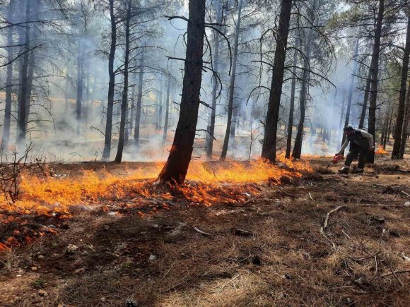 MERSİN’DE ORMAN YANGINLARINA KARŞI TATBİKAT YAPILDI