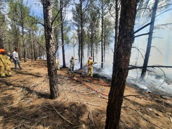MERSİN’DE ORMAN YANGINLARINA KARŞI TATBİKAT YAPILDI