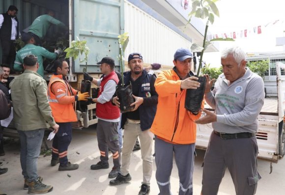MERSİN’DE ÜRETİCİYE AVOKADO FİDANI VE DESTEK DAĞITIMI