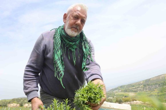 SOFRALARIN VAZGEÇİLMEZİ ZAHTERDE BEREKETLİ HASAT