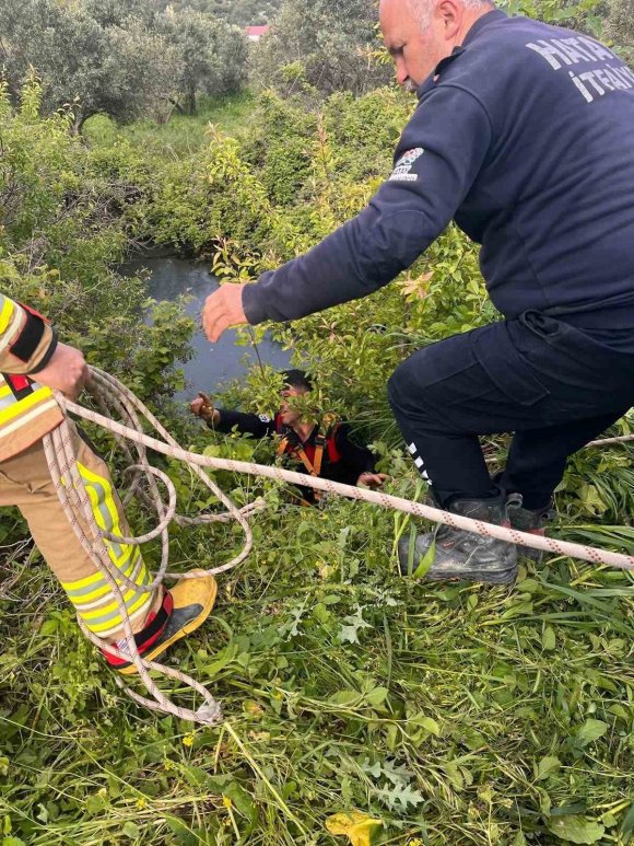 YAYLADAĞI’NDA GÖLETE DÜŞEN BÜYÜKBAŞ HAYVAN KURTARILDI