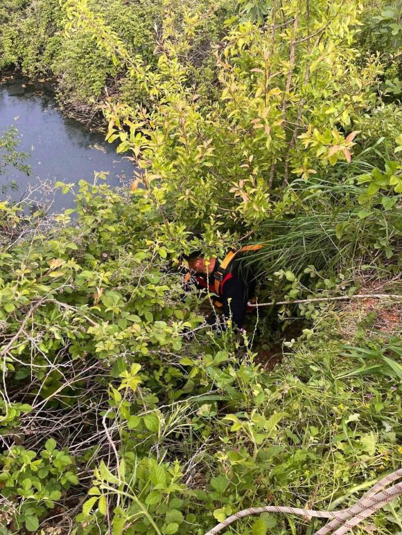 YAYLADAĞI’NDA GÖLETE DÜŞEN BÜYÜKBAŞ HAYVAN KURTARILDI