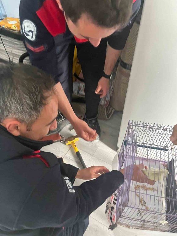 ANTAKYA’DA PROFİL DEMİRİNE SIKIŞAN KUŞ KURTARILDI