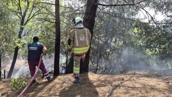 İSKENDERUN’DA ORMAN YANGINI KONTROL ALTINA ALINDI