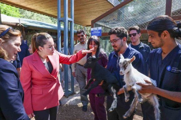 BAŞKAN VEKİLİ BÜŞRA ÖZDEMİR: "VETERİNER HEKİMLERİN ÜSTLENDİKLERİ SORUMLULUK ÇOK KIYMETLİ"