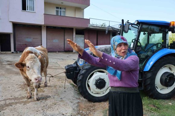 KOZAN’DAKİ SELDE HAYVANLARI TELEF OLAN KADIN: "BİR ANDA SEL GELDİ, AHIRIN ÜSTÜNÜ AŞTI"