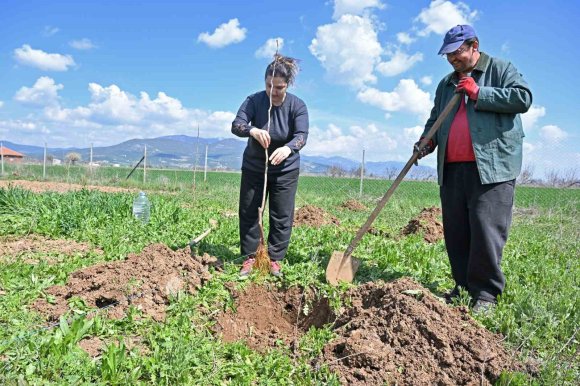 BÜYÜKŞEHİR İPEK BÖCEĞİ YETİŞTİRİCİLİĞİNİ YAYGINLAŞTIRIYOR