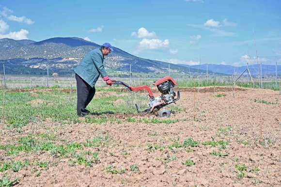 BÜYÜKŞEHİR İPEK BÖCEĞİ YETİŞTİRİCİLİĞİNİ YAYGINLAŞTIRIYOR