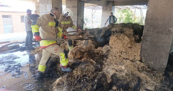 DEFNE’DE SAMANLIK YANGINI