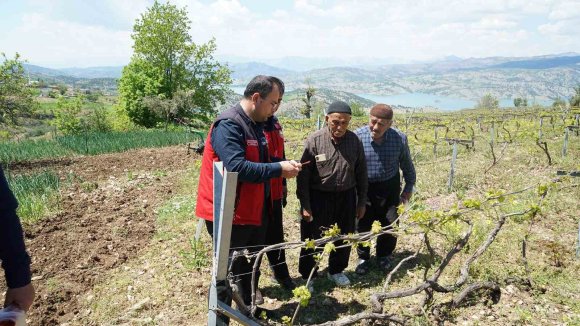 KAHRAMANMARAŞ’TA KABARCIK ÜZÜM’E KORUMA HAMLESİ