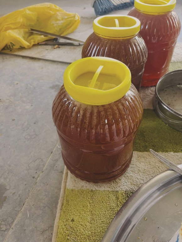 GAZİPAŞA’DA ÇİÇEK BALI HASADI BAŞLADI