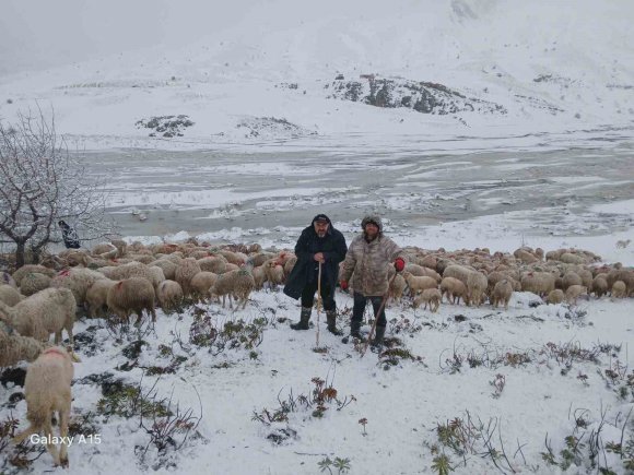 TİPİ VURDU HEYELAN YOLU KAPATTI, 2 ÇOBAN VE YAKLAŞIK 650 KÜÇÜKBAŞ HAYVAN YAYLADA MAHSUR KALDI