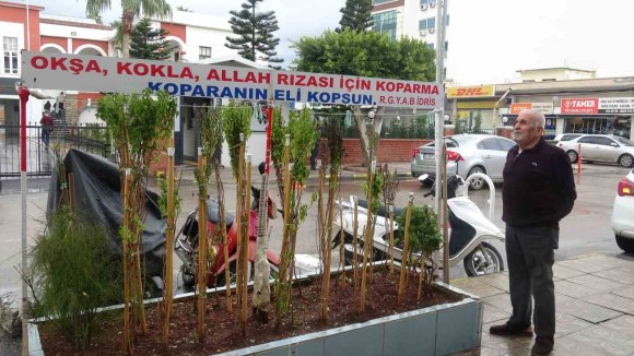 ANNESİNİN ÇOK SEVDİĞİ ÇİÇEĞİ, İŞ YERİNİN ÖNÜNDE MEZARI ANDIRAN ALANDA 40 YILDIR YAŞATIYOR