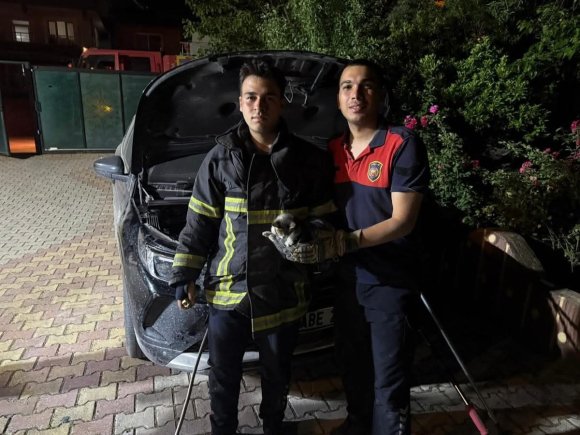 ANTAKYA’DA OTOMOBİLİN MOTORUNA GİREN KEDİYİ İTFAİYE KURTARDI