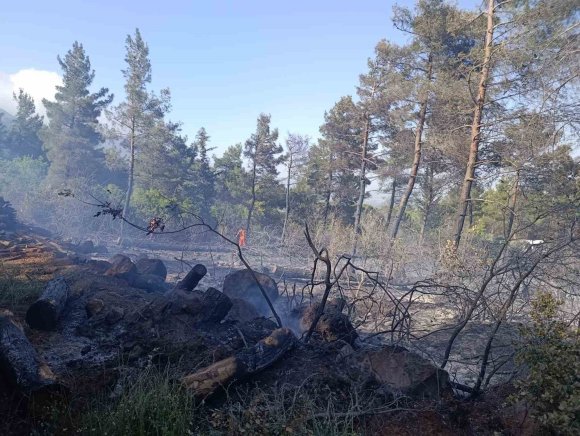 HATAY’DA ORMANI YANGINI ÇIKTI
