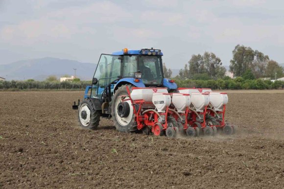 ÇUKUROVA’DA ARAZİLERİNİ DOLU VURAN ÜRETİCİ MISIRI SÖKÜP AYÇİÇEĞİNE YÖNELDİ