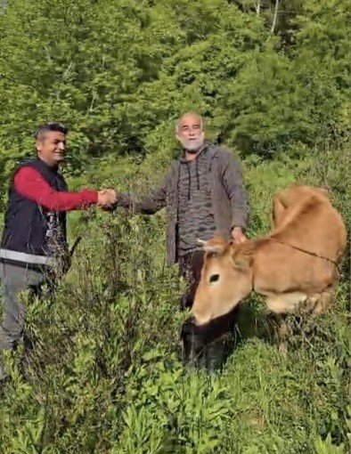 OSMANİYE’DE UÇURUMA DÜŞEN DÜVE 5 SAATLİK OPERASYONLA KURTARILDI